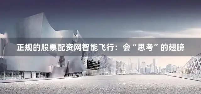 正规的股票配资网智能飞行：会“思考”的翅膀