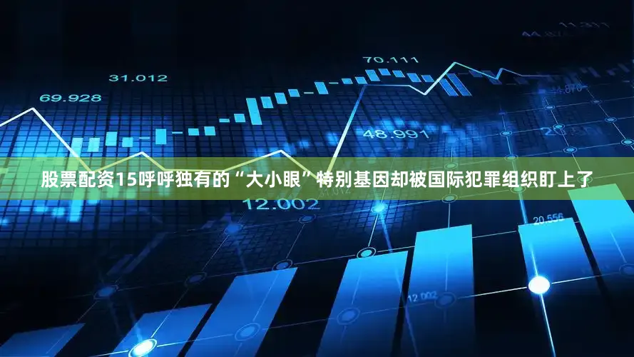股票配资15呼呼独有的“大小眼”特别基因却被国际犯罪组织盯上了